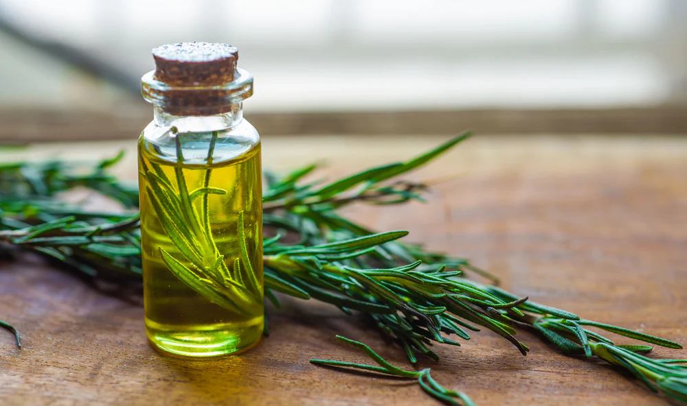 Rosemary for Hydrated Skin